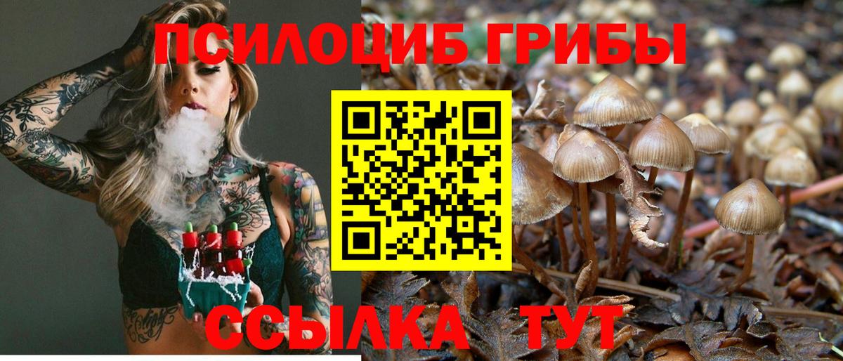 Псилоцибиновые грибы мицелий  Вход с VPN  Нижнекамск 